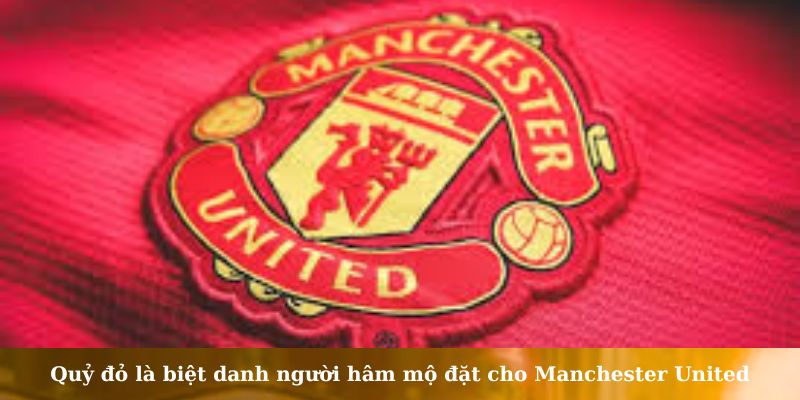 biệt danh của các đội bóng