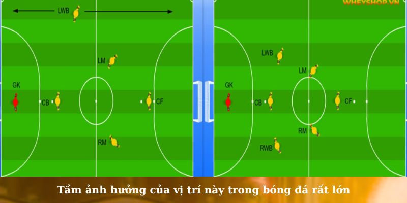 cam là vị trí nào