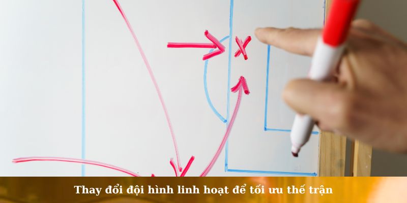 đội hình sân 7
