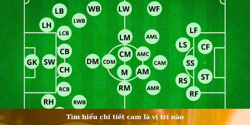 cam là vị trí nào