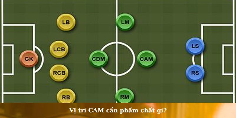cam là vị trí nào